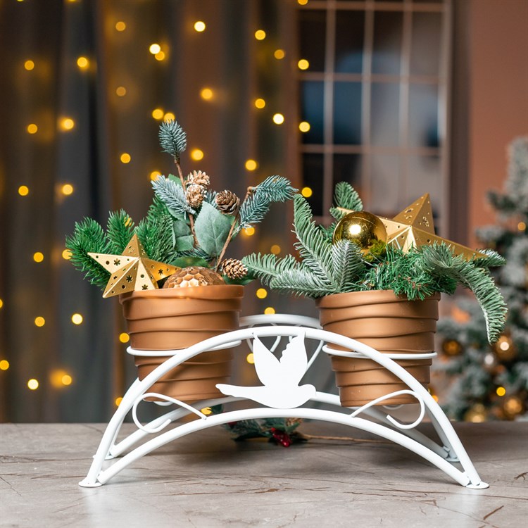 на 2 растения